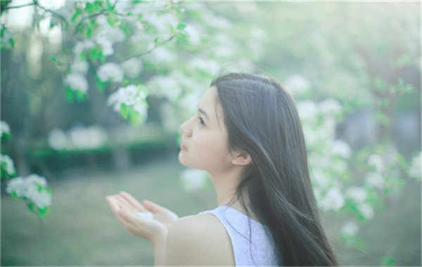 兴宁验血查男女几周可以验(验血查男女结果图)